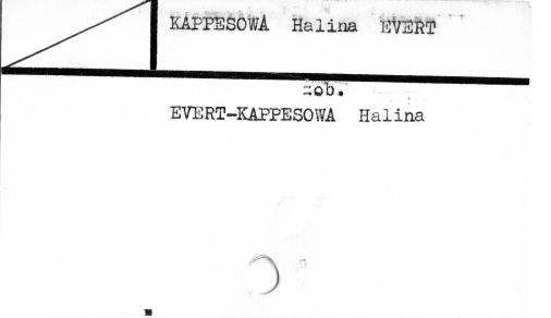 0050-0382.jpg